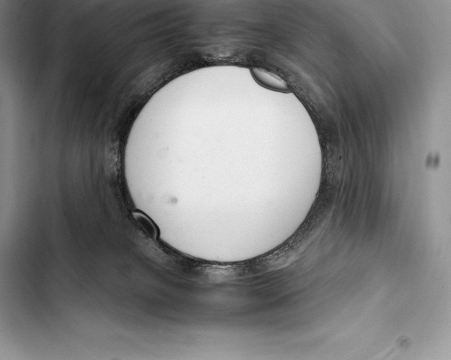 X0000103500085200810031637