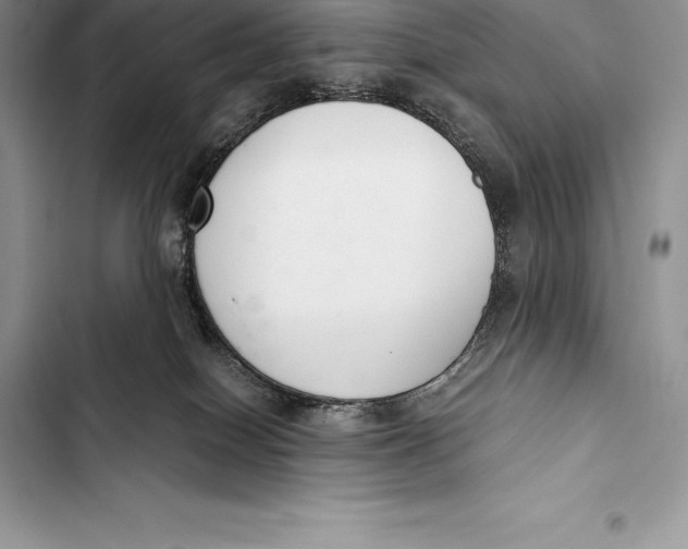 X0000103500086200810031637