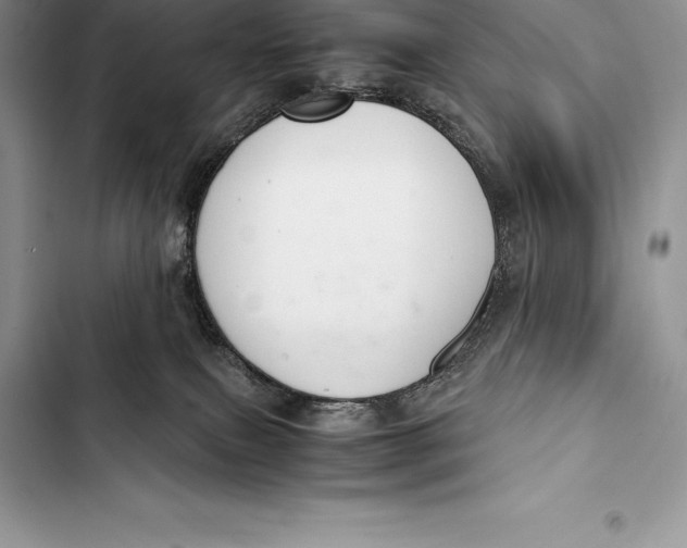 X0000103500087200810031637