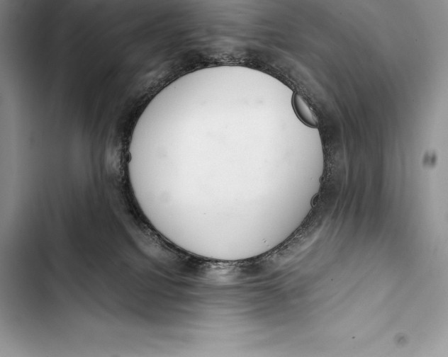 X0000103500088200810031637