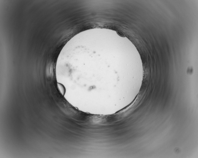 X0000103500094200810031637