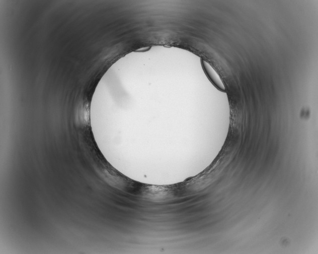 X0000103500095200810031638