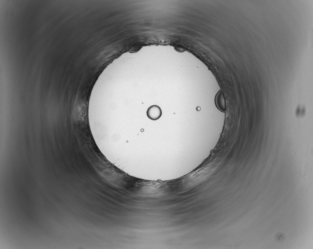 X0000103500096200810031638