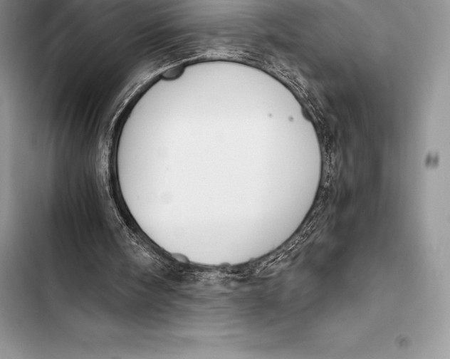 X0000103500098200810031637