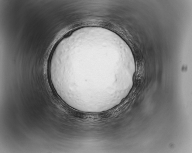 X0000103500099200810031637