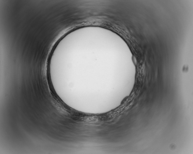 X0000103500100200810031637