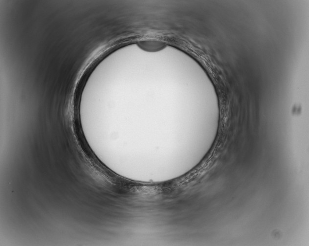 X0000103500102200810031637