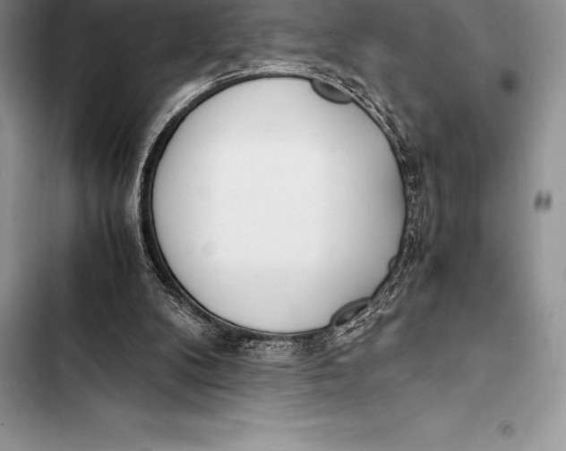 X0000103500104200810031637