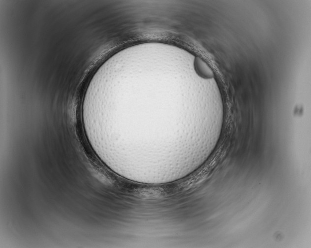 X0000103500106200810031637