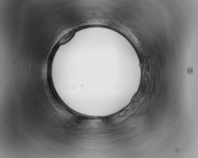 X0000103500108200810031637