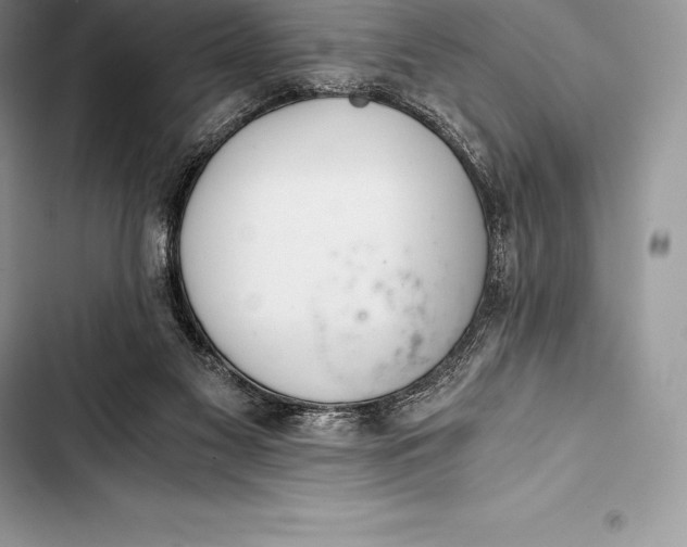 X0000103500117200810031637