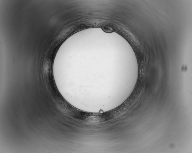 X0000103500119200810031637