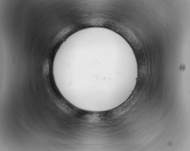 X0000103500120200810031637