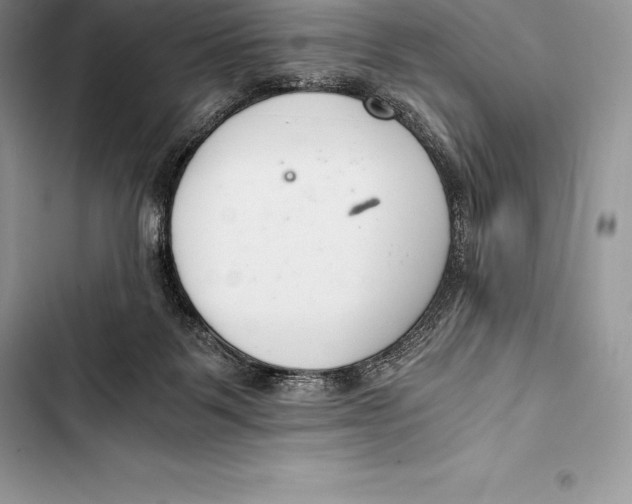 X0000103500123200810031636