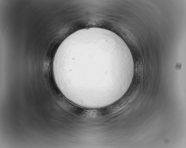 X0000103500127200810031636