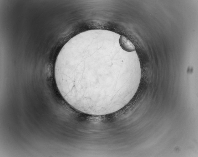 X0000103500131200810031636