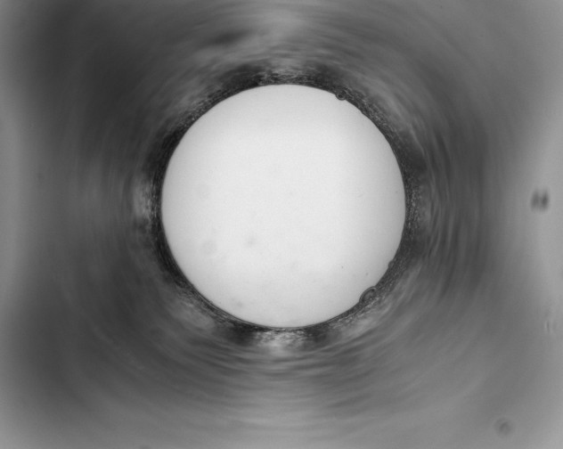 X0000103500135200810031636