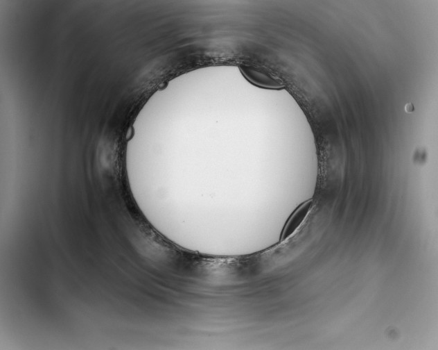 X0000103500136200810031636