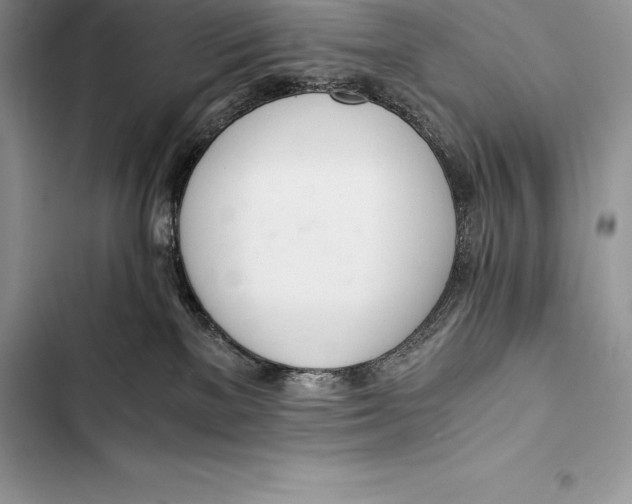 X0000103500137200810031636