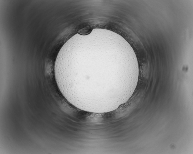 X0000103500138200810031636