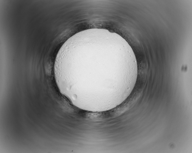 X0000103500139200810031636