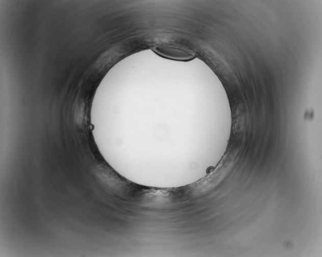 X0000103500140200810031636