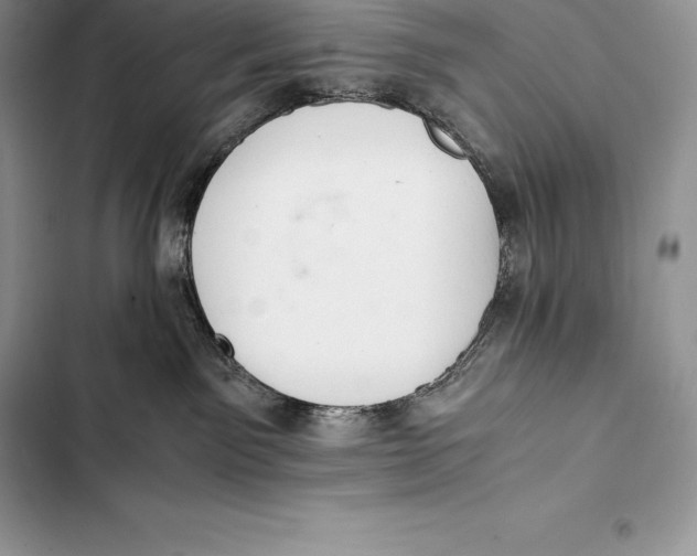 X0000103500141200810031636