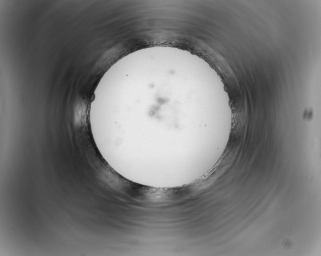 X0000103500142200810031636