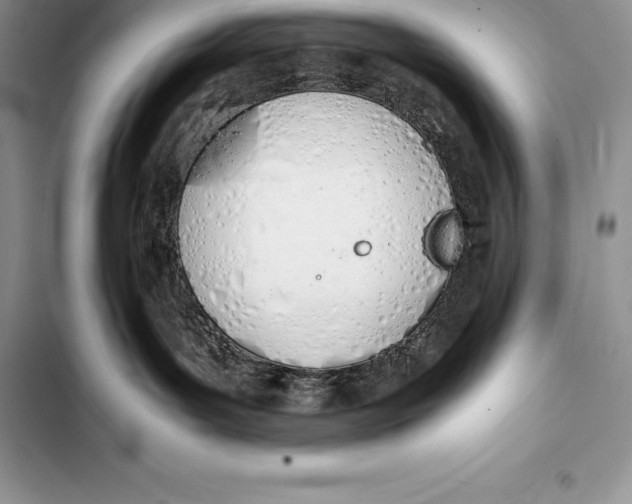 X0000103500143200810031636