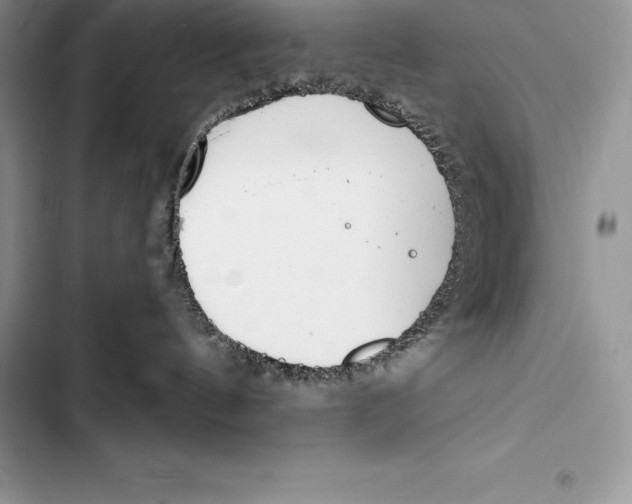 X0000103500144200810031636