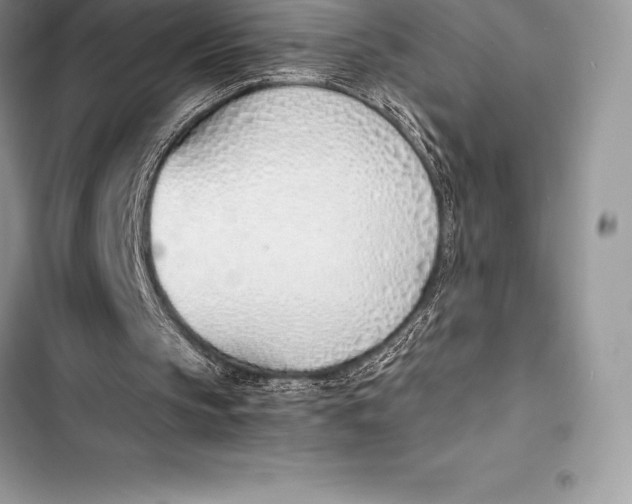 X0000103500145200810031635