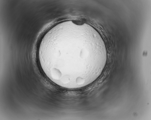 X0000103500149200810031635