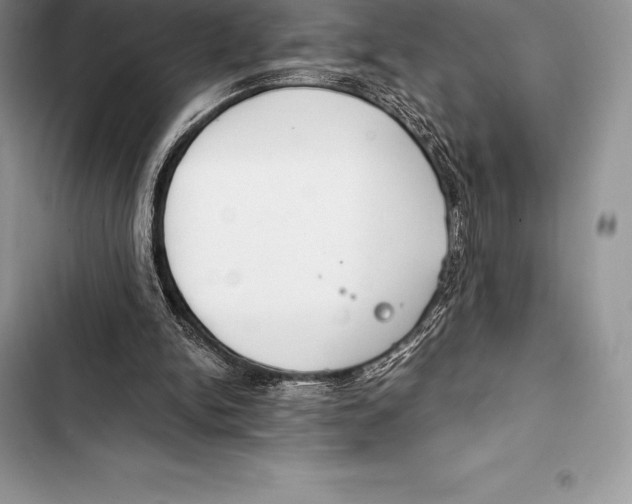 X0000103500150200810031636