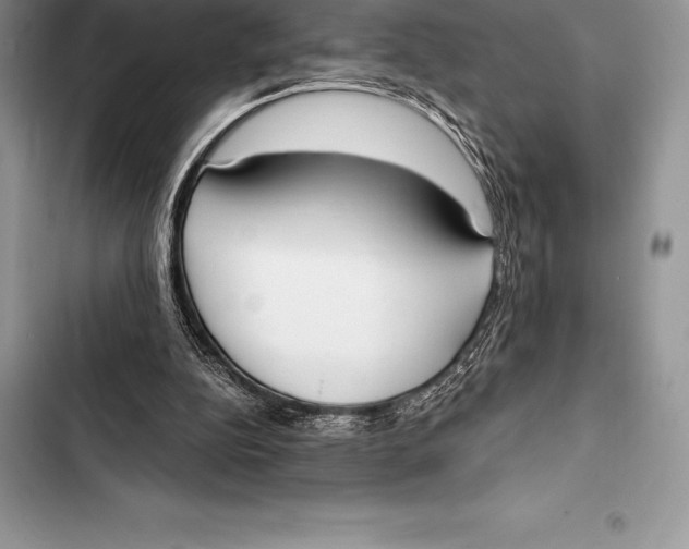 X0000103500152200810031636