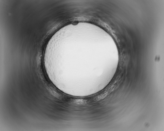 X0000103500153200810031636