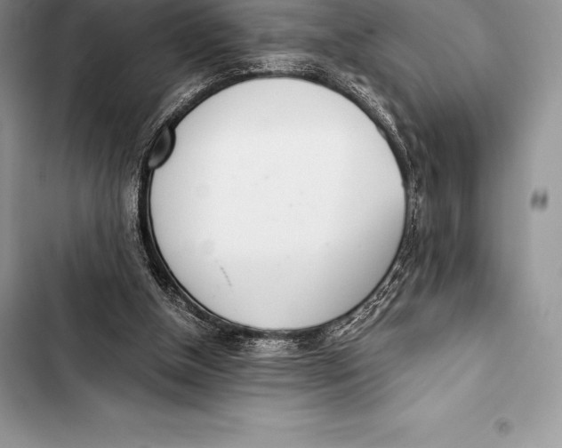 X0000103500154200810031636