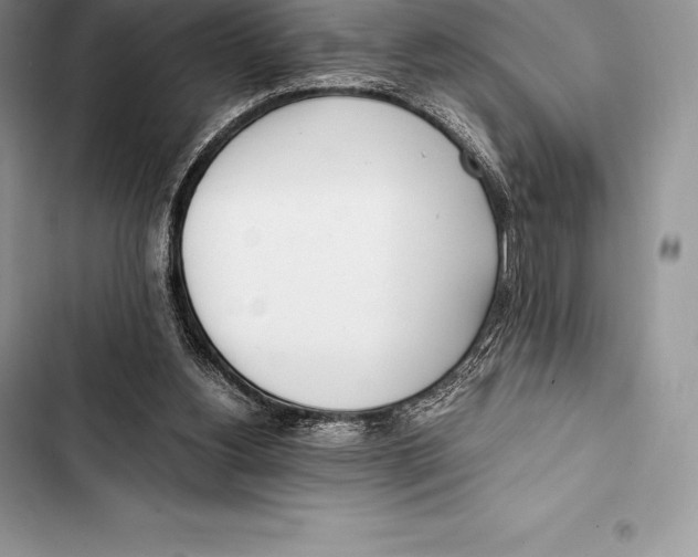 X0000103500156200810031636