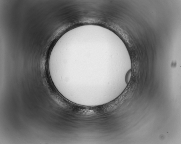 X0000103500159200810031636