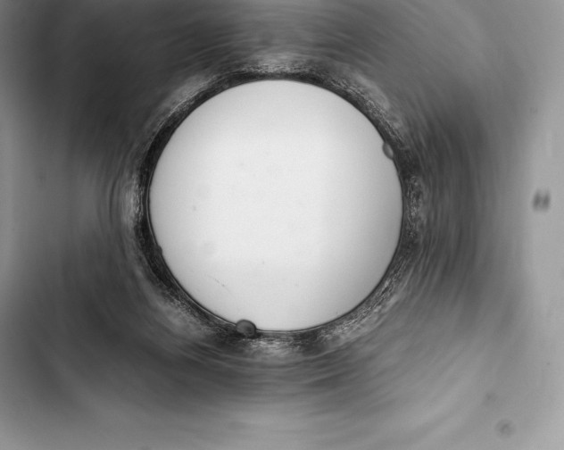 X0000103500164200810031636