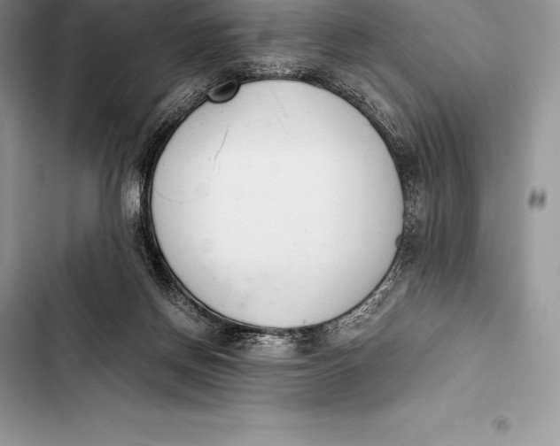 X0000103500166200810031636