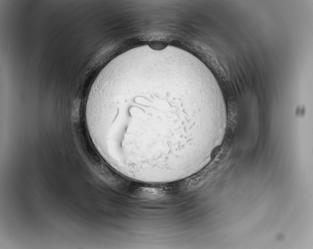 X0000103500167200810031636