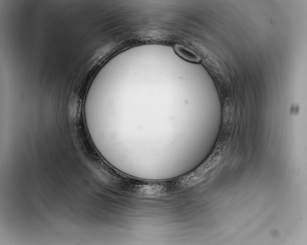 X0000103500168200810031636