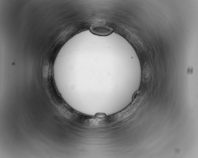 X0000103500172200810031636