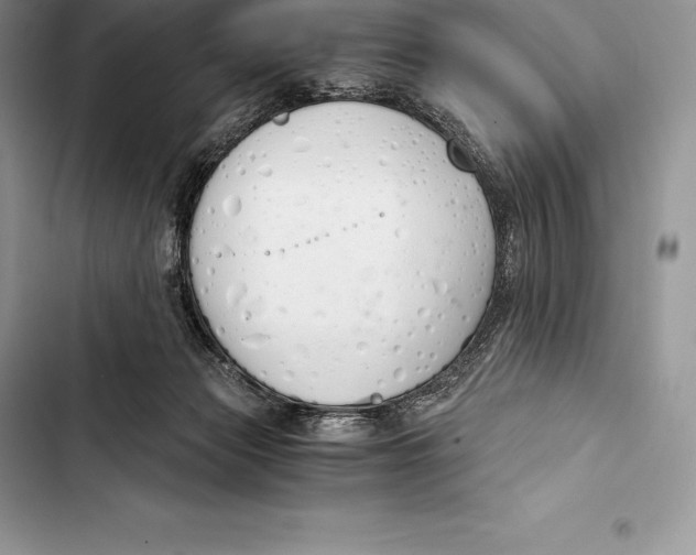 X0000103500173200810031636