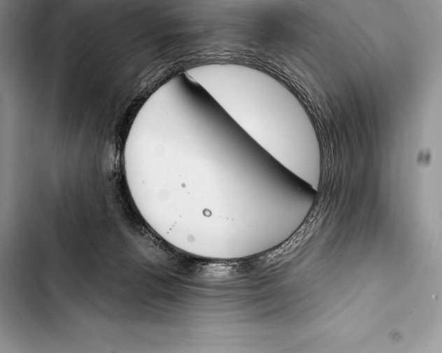 X0000103500176200810031636