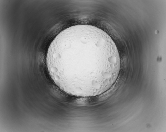 X0000103500178200810031636