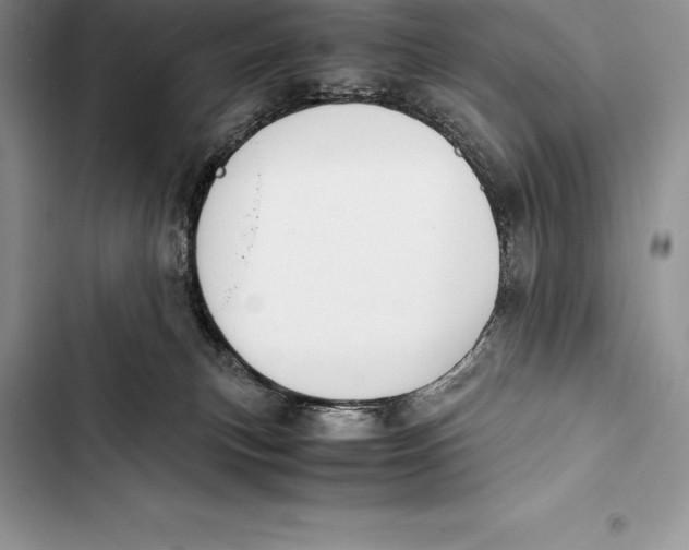 X0000103500183200810031636