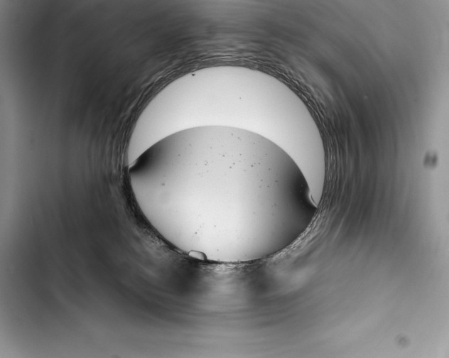 X0000103500184200810031636