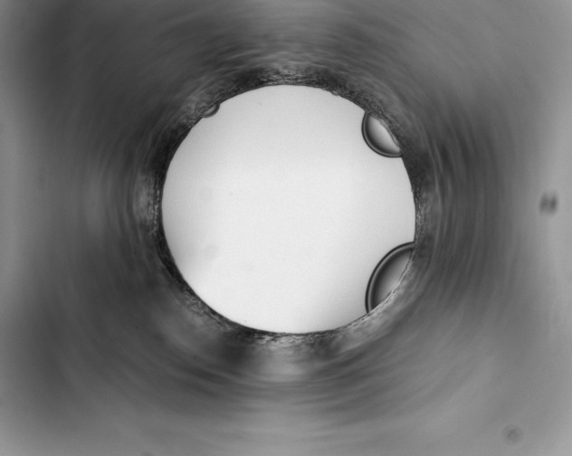 X0000103500186200810031636