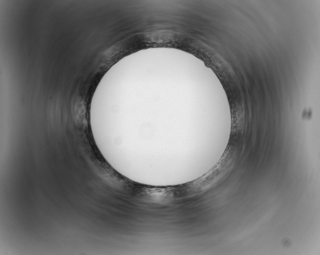 X0000103500187200810031636